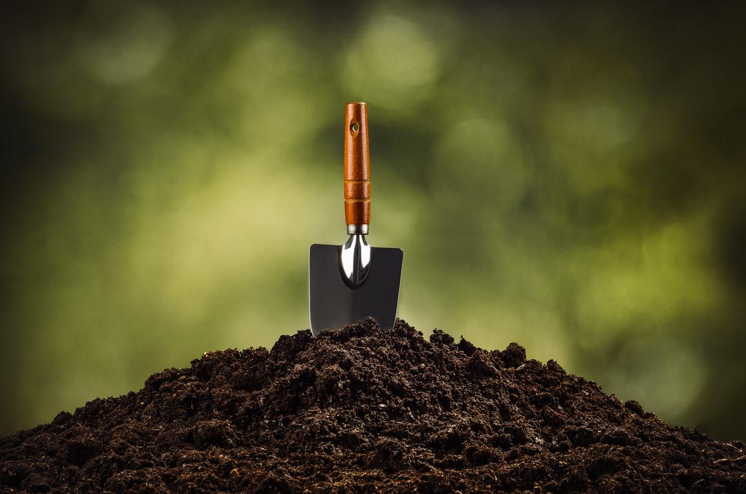 Acidez do solo e fertilização
